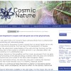health acupuncture meditation website design