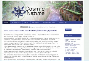 health acupuncture meditation website design